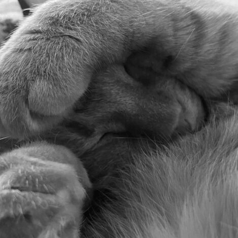 Leah Tattooer (Greece) Fabrika Tattoo Aesthetica_ATC25__1